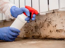 Why You Should Choose Our Mold Remediation Services in Fort Hunt, VA